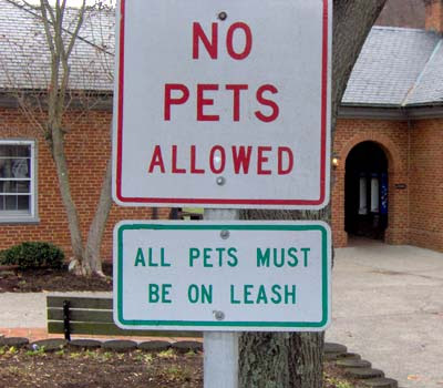 decide on pets