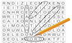 Word Search Solver